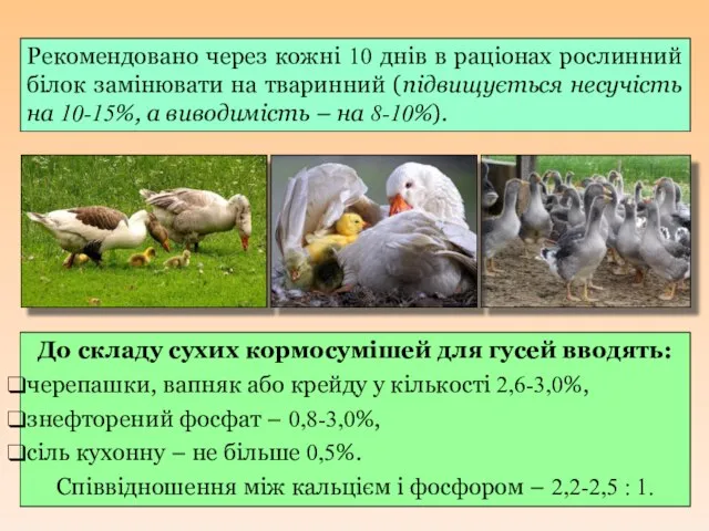 Рекомендовано через кожні 10 днів в раціонах рослинний білок замінювати на