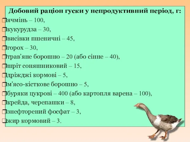 Добовий раціон гуски у непродуктивний період, г: ячмінь – 100, кукурудза