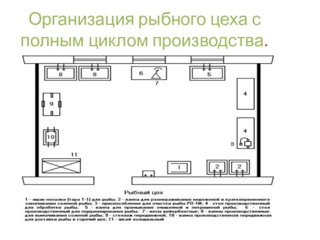 Организация рыбного цеха с полным циклом производства.