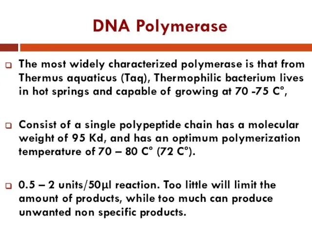 DNA Polymerase The most widely characterized polymerase is that from Thermus