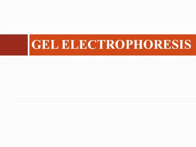 GEL ELECTROPHORESIS