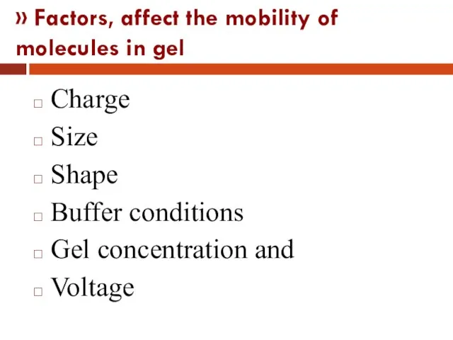 » Factors, affect the mobility of molecules in gel Charge Size