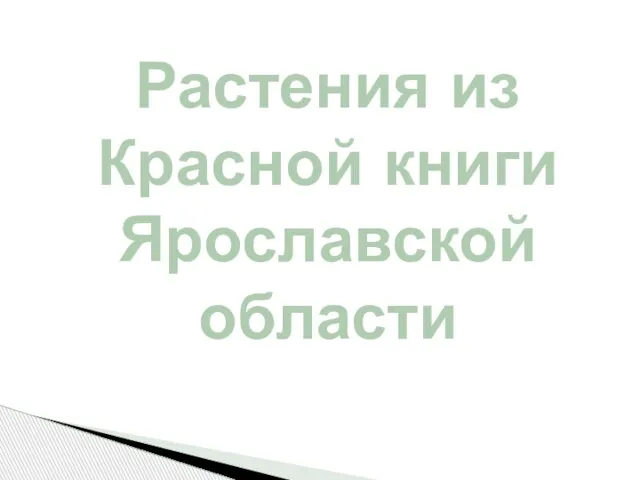 Растения из Красной книги Ярославской области