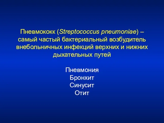 Пневмококк (Streptococcus pneumoniae) – самый частый бактериальный возбудитель внебольничных инфекций верхних