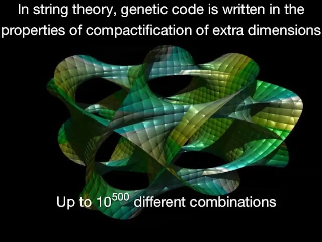In string theory, genetic code is written in the properties of