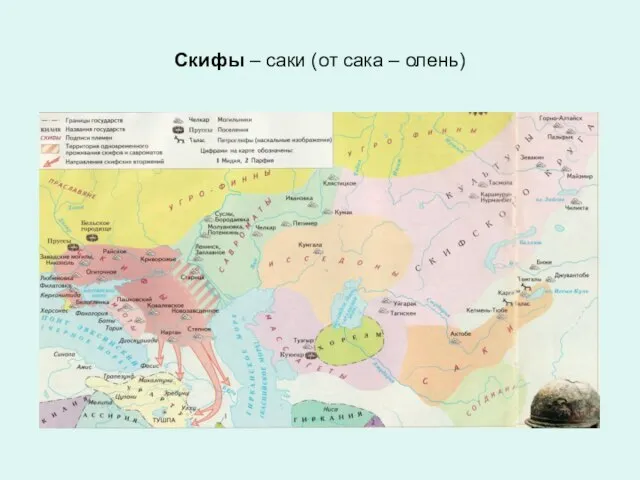 Скифы – саки (от сака – олень)