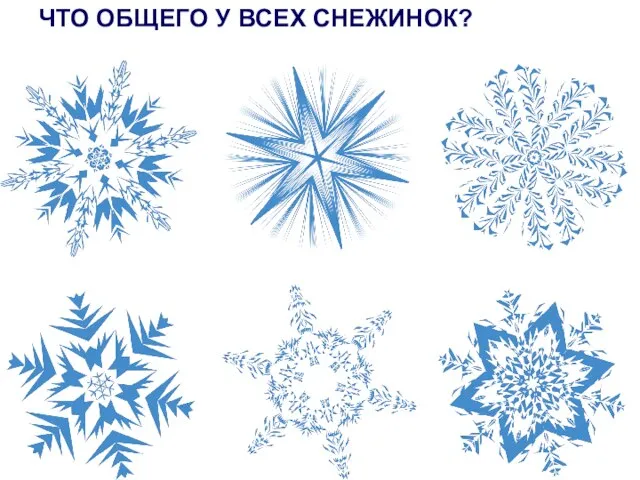 ЧТО ОБЩЕГО У ВСЕХ СНЕЖИНОК?