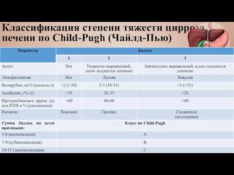 Классификация степени тяжести цирроза печени по Child-Pugh (Чайлд-Пью)