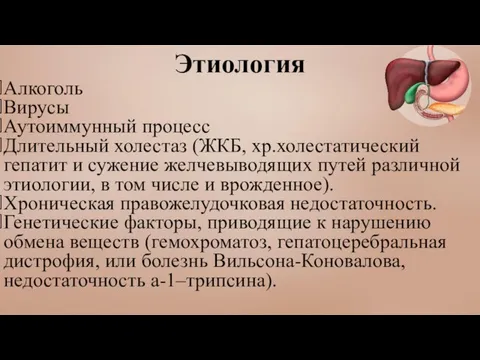 Этиология Алкоголь Вирусы Аутоиммунный процесс Длительный холестаз (ЖКБ, хр.холестатический гепатит и