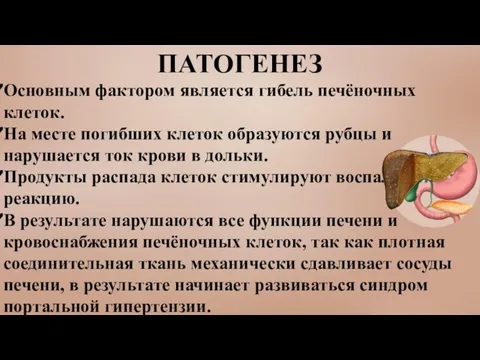 ПАТОГЕНЕЗ Основным фактором является гибель печёночных клеток. На месте погибших клеток