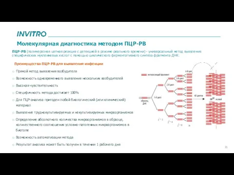 21 Молекулярная диагностика методом ПЦР-РВ ПЦР-РВ (полимеразная цепная реакция с детекцией