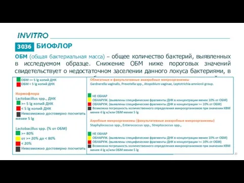 ОБМ (общая бактериальная масса) – общее количество бактерий, выявленных в исследуемом