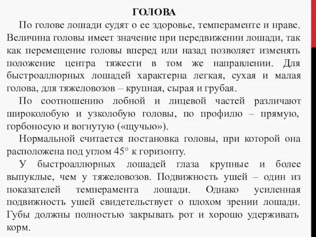 ГОЛОВА По голове лошади судят о ее здоровье, темпераменте и нраве.