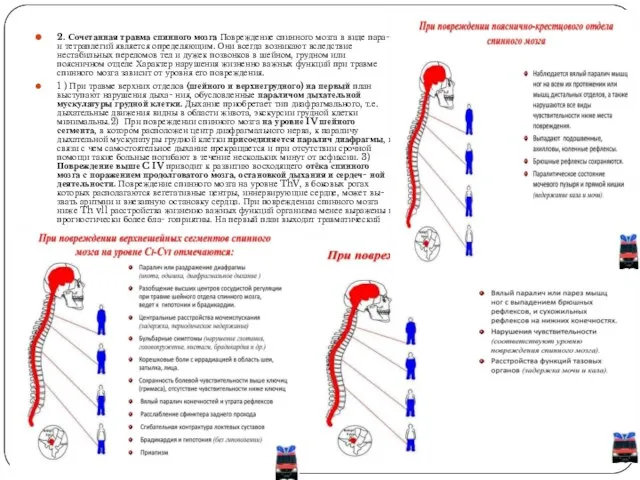 2. Сочетанная травма спинного мозга Повреждение спинного мозга в виде пара-