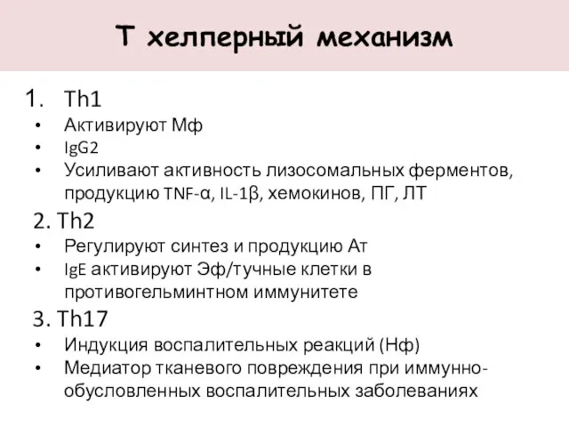 Т хелперный механизм Th1 Активируют Мф IgG2 Усиливают активность лизосомальных ферментов,