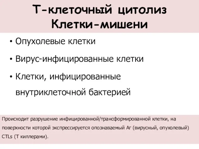 Т-клеточный цитолиз Клетки-мишени Опухолевые клетки Вирус-инфицированные клетки Клетки, инфицированные внутриклеточной бактерией