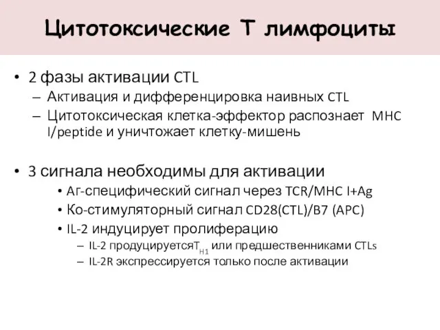 Цитотоксические Т лимфоциты 2 фазы активации CTL Активация и дифференцировка наивных