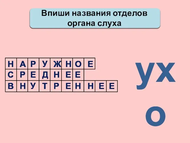 Впиши названия отделов органа слуха ухо