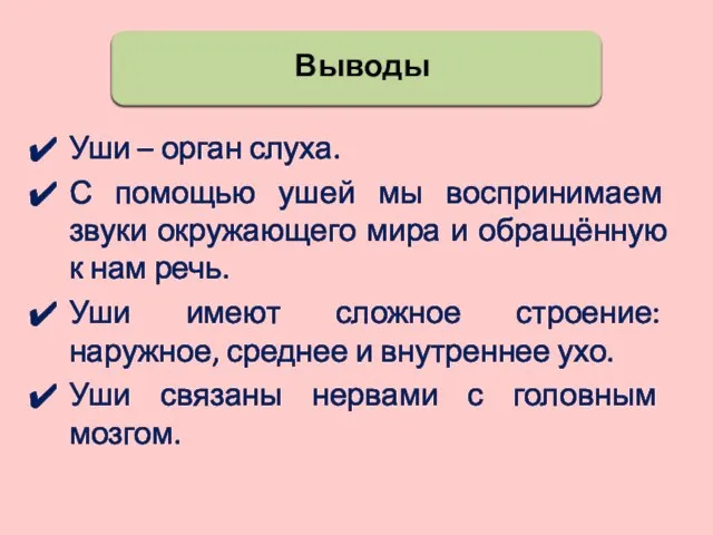 Выводы Уши – орган слуха. С помощью ушей мы воспринимаем звуки