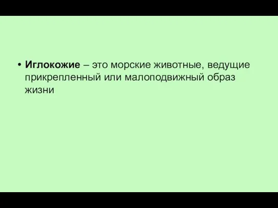 Иглокожие – это морские животные, ведущие прикрепленный или малоподвижный образ жизни