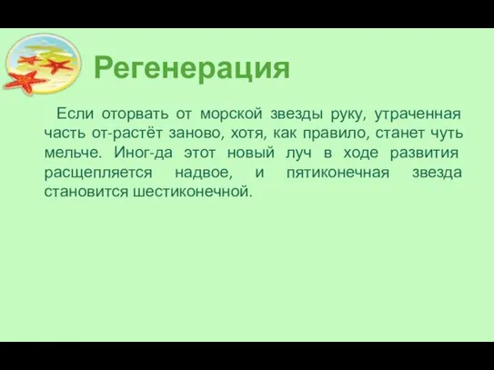 Регенерация Если оторвать от морской звезды руку, утраченная часть от-растёт заново,