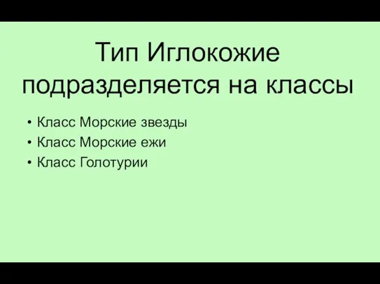 Тип Иглокожие подразделяется на классы Класс Морские звезды Класс Морские ежи Класс Голотурии