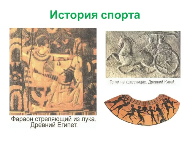 История спорта