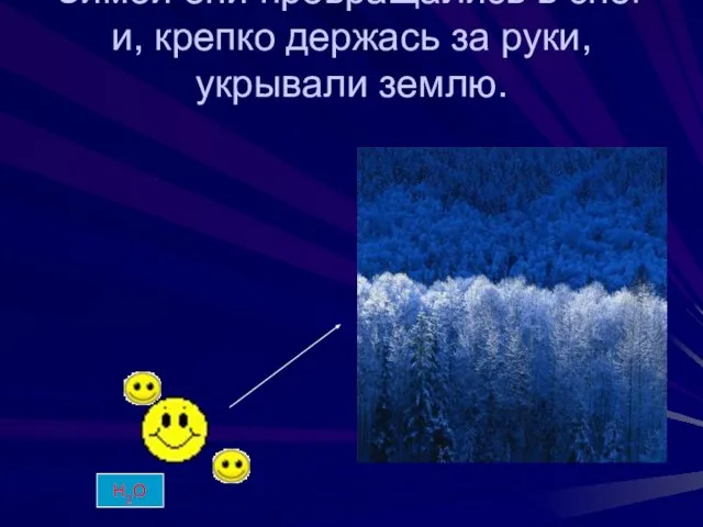 Зимой они превращались в снег и, крепко держась за руки, укрывали землю. Н2О