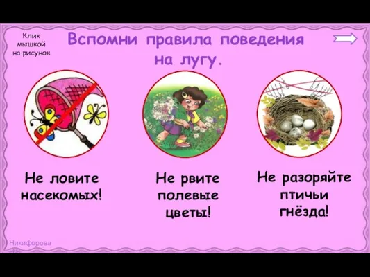 Вспомни правила поведения на лугу. Не рвите полевые цветы! Не разоряйте