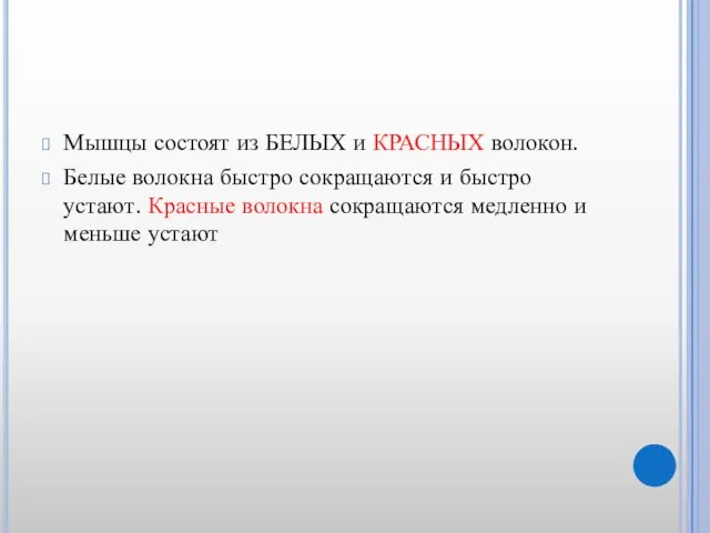 Мышцы состоят из БЕЛЫХ и КРАСНЫХ волокон. Белые волокна быстро сокращаются