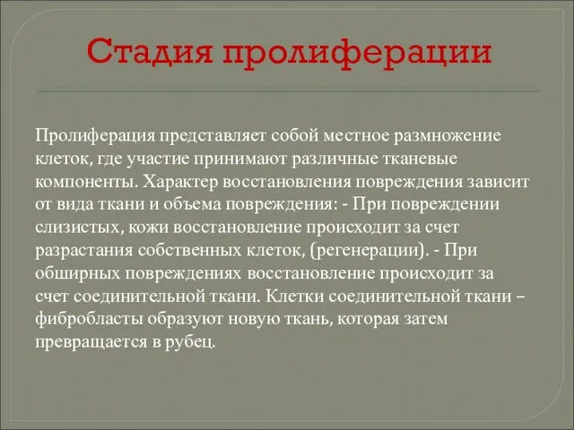 Стадия пролиферации Пролиферация представляет собой местное размножение клеток, где участие принимают