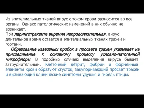 Из эпителиальных тканей вирус с током крови разносится во все органы.