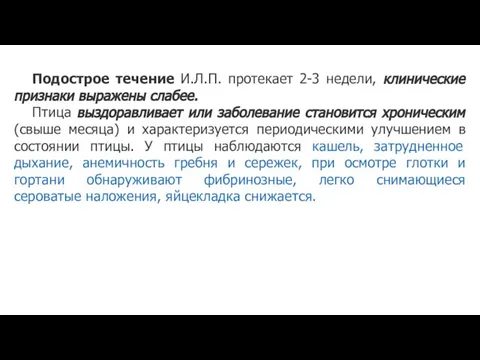 Подострое течение И.Л.П. протекает 2-3 недели, клинические признаки выражены слабее. Птица