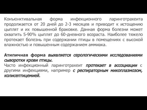 Конъюнктивальная форма инфекционного ларинготрахеита продолжается от 20 дней до 2-3 месяцев