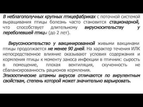 В неблагополучных крупных птицефабриках с поточной системой выращивания птицы болезнь часто