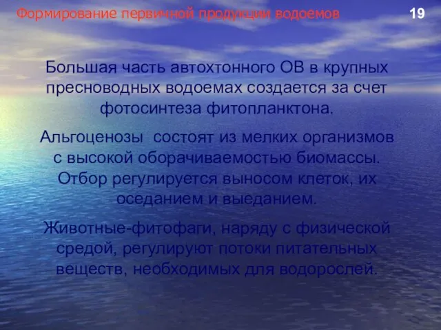 Формирование первичной продукции водоемов 19 Большая часть автохтонного ОВ в крупных