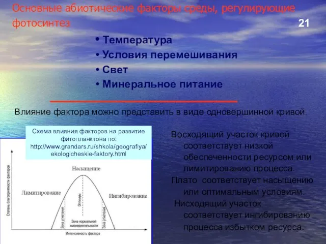 Основные абиотические факторы среды, регулирующие фотосинтез 21 Температура Условия перемешивания Свет