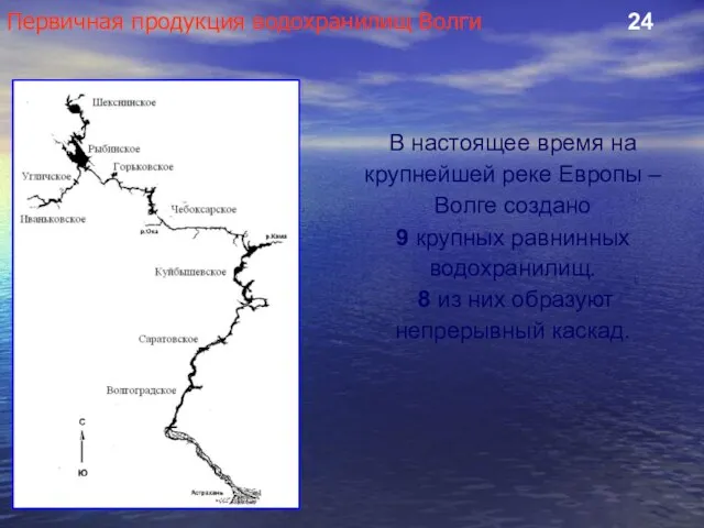 Первичная продукция водохранилищ Волги 24 В настоящее время на крупнейшей реке