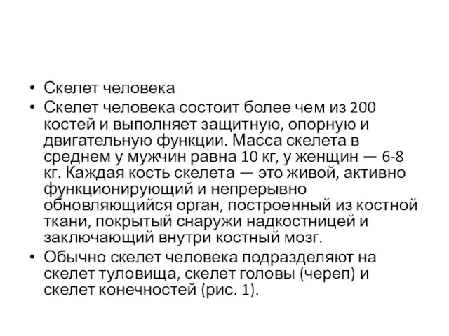 Скелет человека Скелет человека состоит более чем из 200 костей и