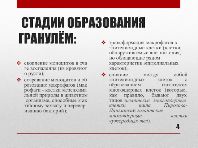 СТАДИИ ОБРАЗОВАНИЯ ГРАНУЛЁМ: скопление моноцитов в очаге воспаления (из кровяного русла);