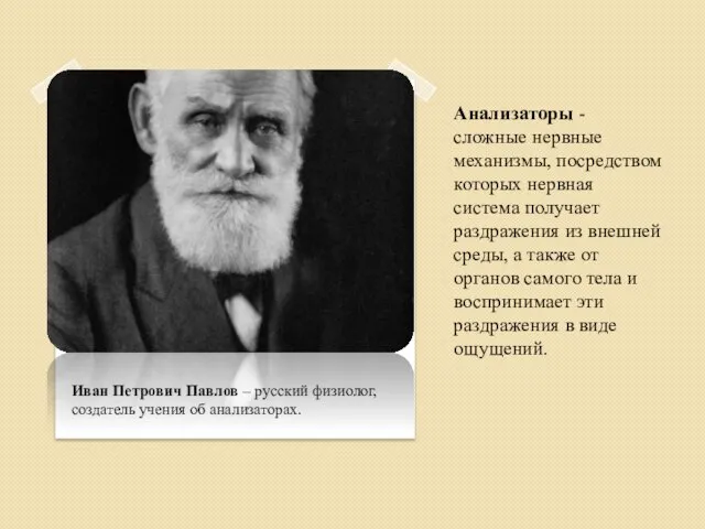 Иван Петрович Павлов – русский физиолог, создатель учения об анализаторах. Анализаторы