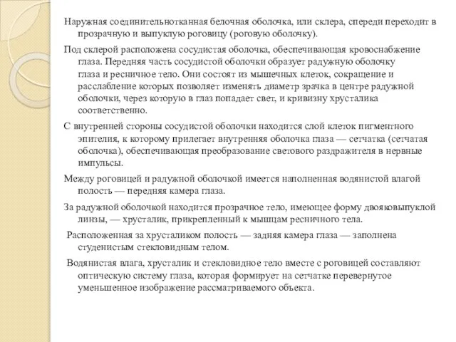 Наружная соединительнотканная белочная оболочка, или склера, спереди переходит в прозрачную и