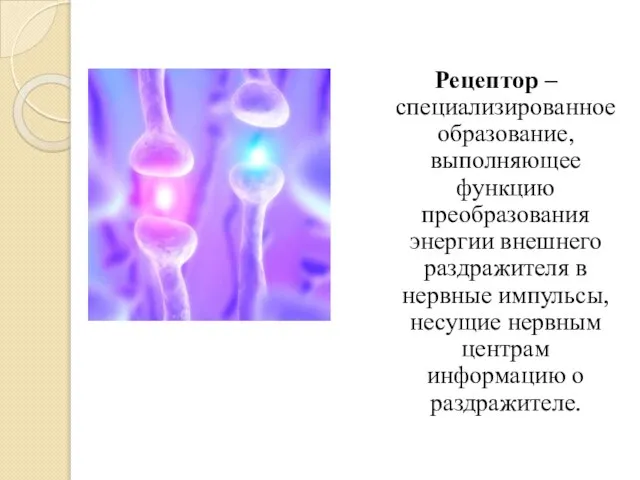 Рецептор – специализированное образование, выполняющее функцию преобразования энергии внешнего раздражителя в