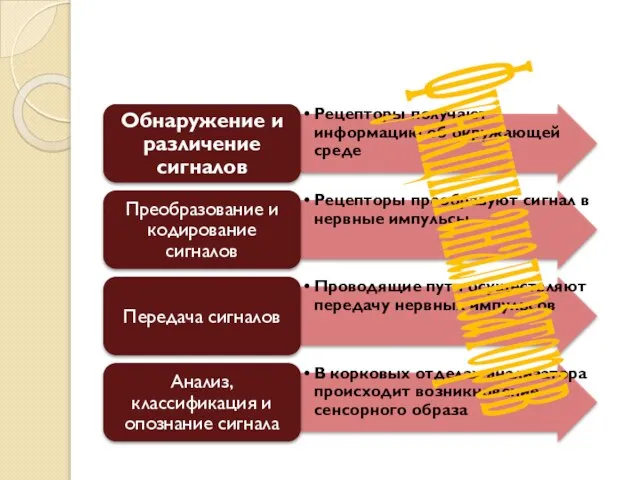 Функции анализаторов