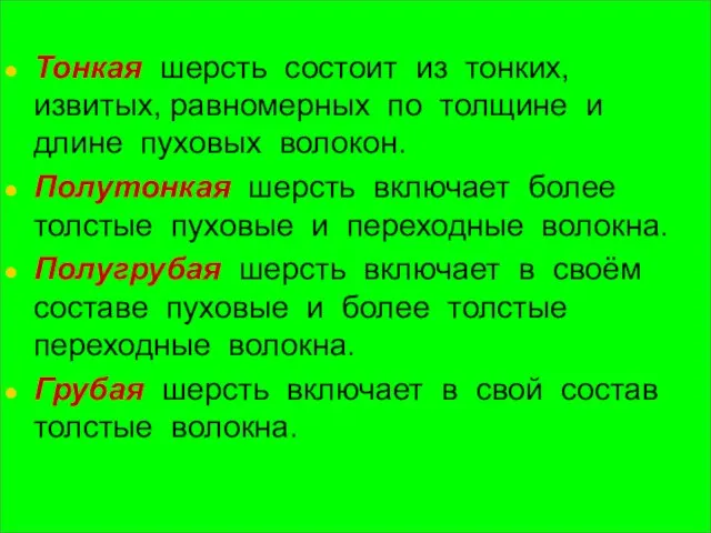 Тонкая шерсть состоит из тонких, извитых, равномерных по толщине и длине