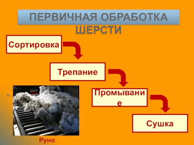 ПЕРВИЧНАЯ ОБРАБОТКА ШЕРСТИ Сортировка Трепание Промывание Сушка Руно