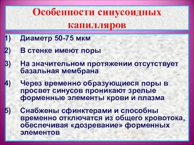 Особенности синусоидных капилляров Диаметр 50-75 мкм В стенке имеют поры На