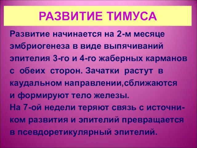 РАЗВИТИЕ ТИМУСА Развитие начинается на 2-м месяце эмбриогенеза в виде выпячиваний