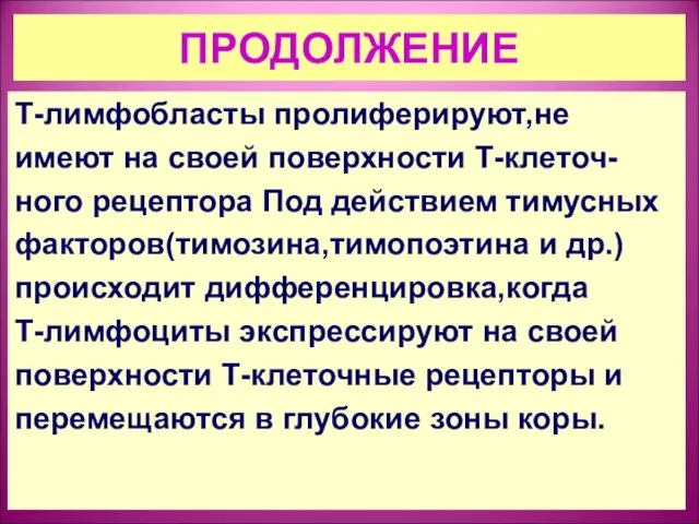 ПРОДОЛЖЕНИЕ Т-лимфобласты пролиферируют,не имеют на своей поверхности Т-клеточ- ного рецептора Под