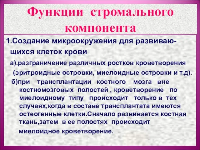 Функции стромального компонента 1.Создание микроокружения для развиваю- щихся клеток крови а).разграничение